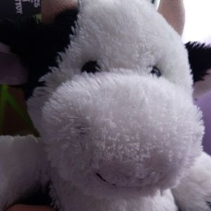 Meet your Posher, Sally